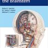 Surgery of the Brainstem 1st Edition PDF