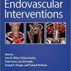 Endovascular Interventions 1st Edition PDF