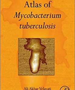 Atlas of Mycobacterium Tuberculosis 1st Edition PDF