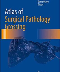 Atlas of Surgical Pathology Grossing (Atlas of Anatomic Pathology) 1st ed. 2019 Edition PDF