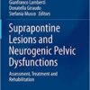 Suprapontine Lesions and Neurogenic Pelvic Dysfunctions: Assessment, Treatment and Rehabilitation (Urodynamics, Neurourology and Pelvic Floor Dysfunctions) 1st ed. 2020 Edition PDF