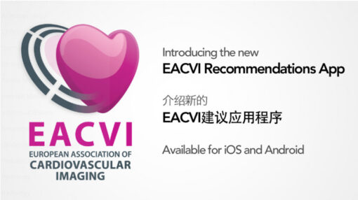 EACVI Transoesophageal Echocardiography (TOE)