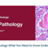 2019 Classic Lectures in Pathology What You Need to Know Endocrine Pathology