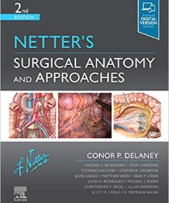 Netter's Surgical Anatomy and Approaches 2nd Edition PDF