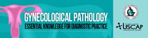 USCAP Gynecological Pathology: Essential Knowledge for Diagnostic Practice 2022 (CME VIDEOS)