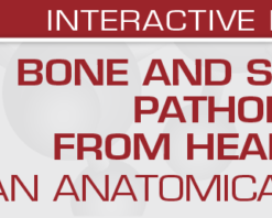 USCAP Bone and Soft Tissue Pathology from Head to Toe: An Anatomical Approach 2022 CME VIDEOS