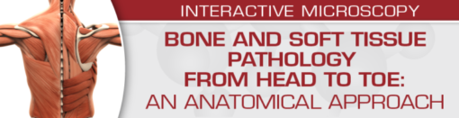 USCAP Bone and Soft Tissue Pathology from Head to Toe: An Anatomical Approach 2022 CME VIDEOS