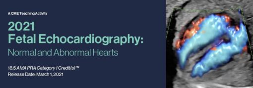 2021 Fetal Echocardiography: Normal and Abnormal Hearts