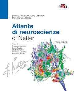 Atlante di neuroscienze di Netter (EPUB)