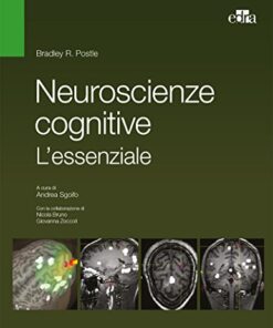 Neuroscienze cognitive. L’essenziale (EPUB)