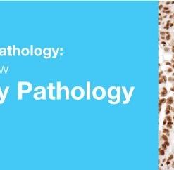 2019 Classic Lectures in Pathology What You Need to Know Genitourinary Pathology