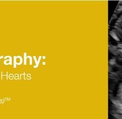 2019 Fetal Echocardiography Normal and Abnormal Hearts