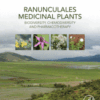 Ranunculales Medicinal Plants Biodiversity, Chemodiversity and Pharmacotherapy