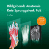Bildgebende Anatomie: Knie Sprunggelenk Fuß