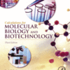 Calculations for Molecular Biology and Biotechnology