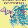 Helicases from All Domains of Life