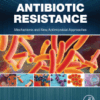 Antibiotic Resistance Mechanisms and New Antimicrobial Approaches