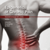 Epigenetics of Chronic Pain Volume 7 in Translational Epigenetics