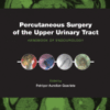 Percutaneous Surgery of the Upper Urinary Tract