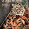 Mineral Composition and Radioactivity of Edible Mushrooms