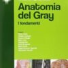 Anatomia del Gray. I fondamenti