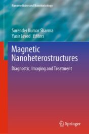 Magnetic Nanoheterostructures Original PDF 2020