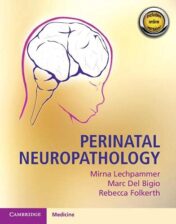 perinatal-neuropathology