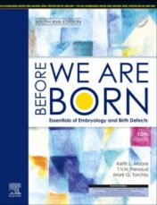 Before We Are Born: Essentials of Embryology and Birth Defects, 10th Edition (South-Asia Edition) (Original PDF)