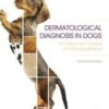 Dermatologic diagnosis in the dog. An approach based on skin patterns