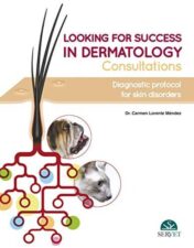 Looking for Success in Dermatology Consultations. Diagnostic Protocol for Skin Disorders 2020 epub+converted pdf