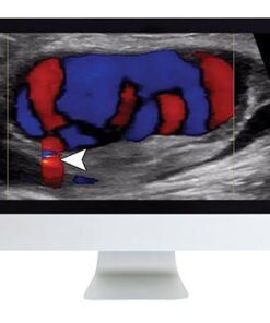 CLINICAL ULTRASOUND REVIEW (ARRS)
