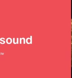 2020 Classic Lectures in Clinical Ultrasound (CME Videos)