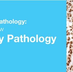 2019 Classic Lectures in Pathology: What You Need to Know: Genitourinary Pathology (CME Videos)