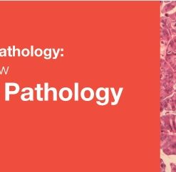 Classic Lectures in Pathology: What You Need to Know: Gynecologic Pathology 2018 (CME VIDEOS)