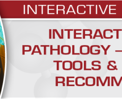 USCAP Interactive Uterine Pathology – New Entities, Tools & Reporting Recommendations 2020 (CME VIDEOS)
