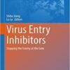 Virus Entry Inhibitors: Stopping the Enemy at the Gate (Advances in Experimental Medicine and Biology, 1366) 2022 Original PDF