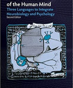 The Rosetta Stone of the Human Mind: Three Languages to Integrate Neurobiology and Psychology (Original PDF from Publisher)