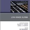 Low-Grade Glioma, An Issue of Neurosurgery Clinics of North America (Volume 30-1) (The Clinics: Surgery, Volume 30-1)