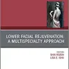Lower Facial Rejuvenation: A Multispecialty Approach, An Issue of Clinics in Plastic Surgery (Volume 45-4) (The Clinics: Surgery, Volume 45-4)