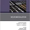 Neuromodulation, An Issue of Neurosurgery Clinics of North America (Volume 30-2) (The Clinics: Surgery, Volume 30-2)