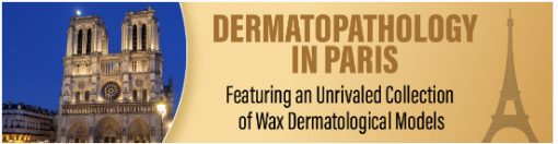 Dermatopathology in Paris Featuring an Unrivaled Collection of Wax Dermatological Models