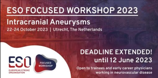 ESO 2023 Focused Workshop Intracranial aneurysms