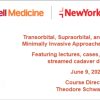 Transorbital, Supraorbital, and Endonasal