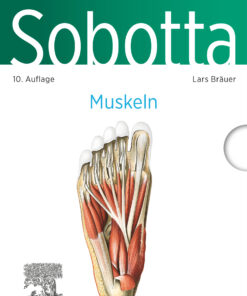 Sobotta Lernkarten Muskeln, 10th Edition (Original PDF from Publisher)